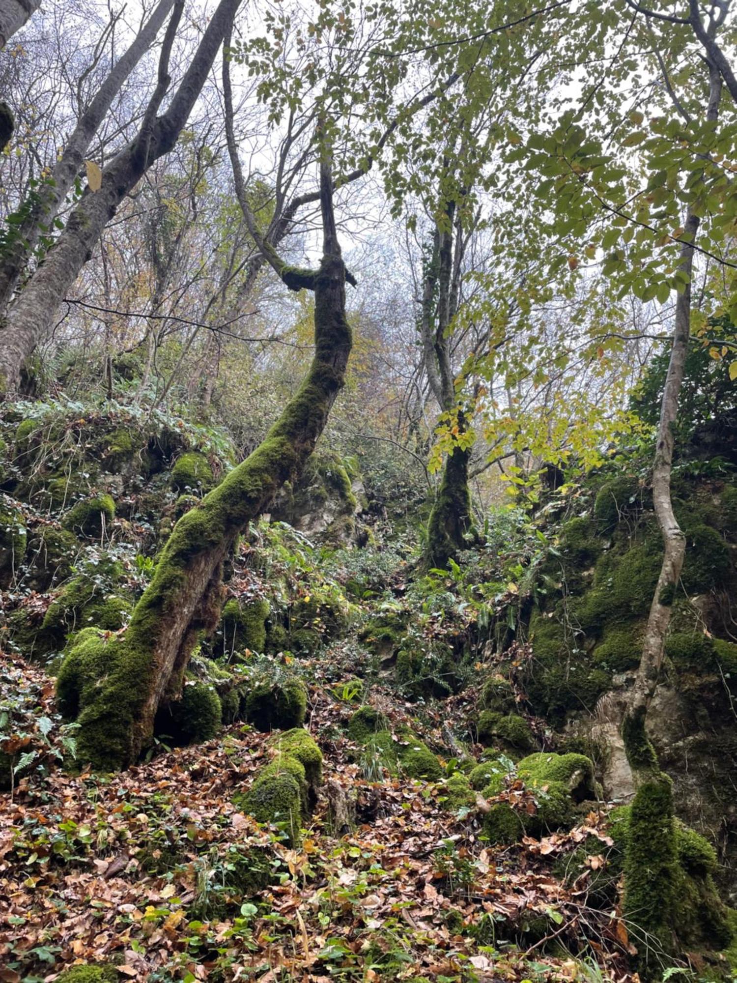 Mooie Bungalow In De Prachtige Natuur Hastiere-par-dela Kültér fotó